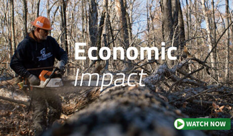 Economic Impact