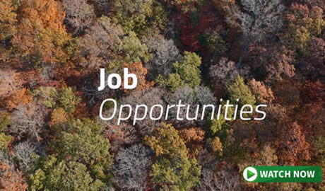 Job Opportunities Video