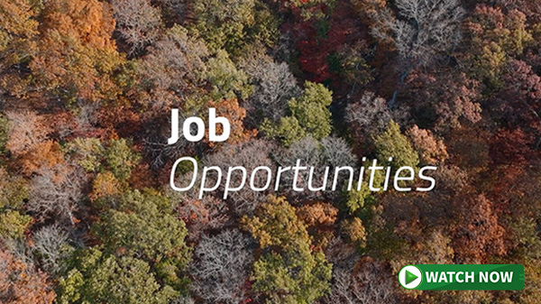 Job Opportunities Video